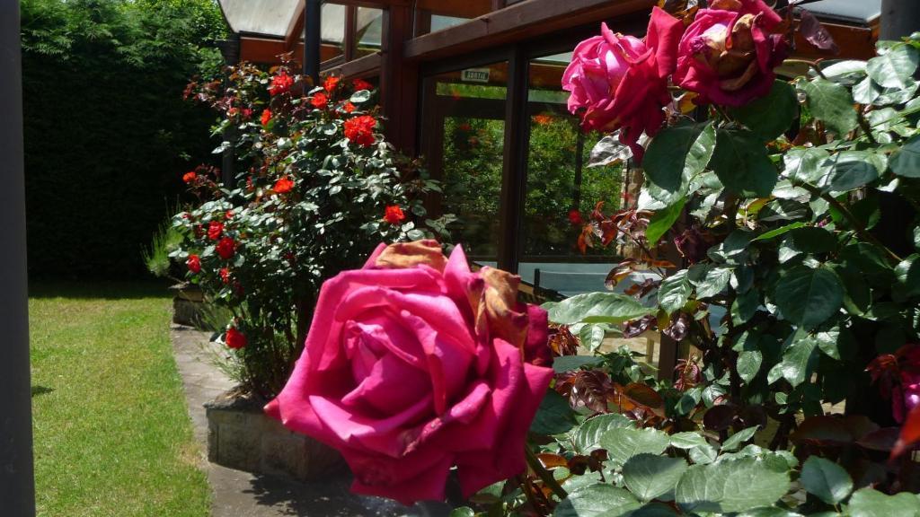 Logis La Rose Des Vents Hotel Volvic Eksteriør billede